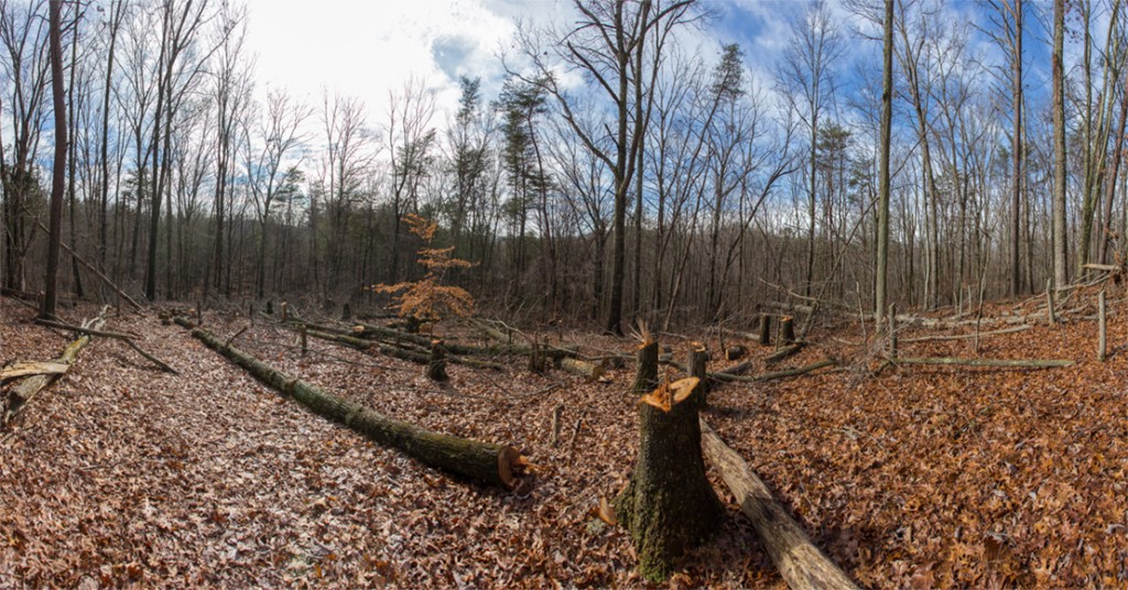 Pano01