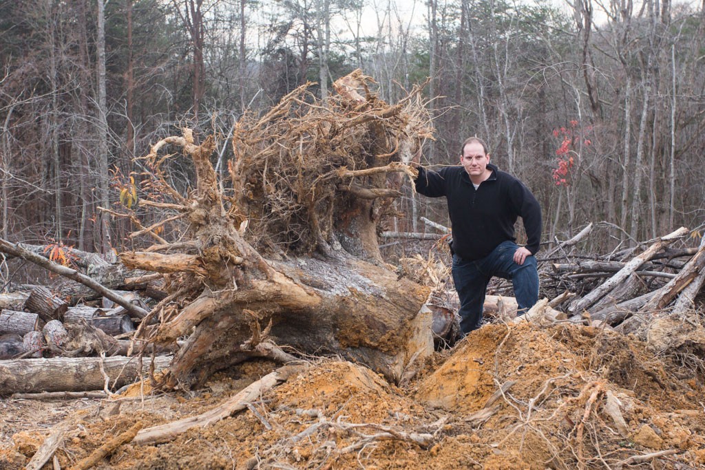 Digging out a few large stumps