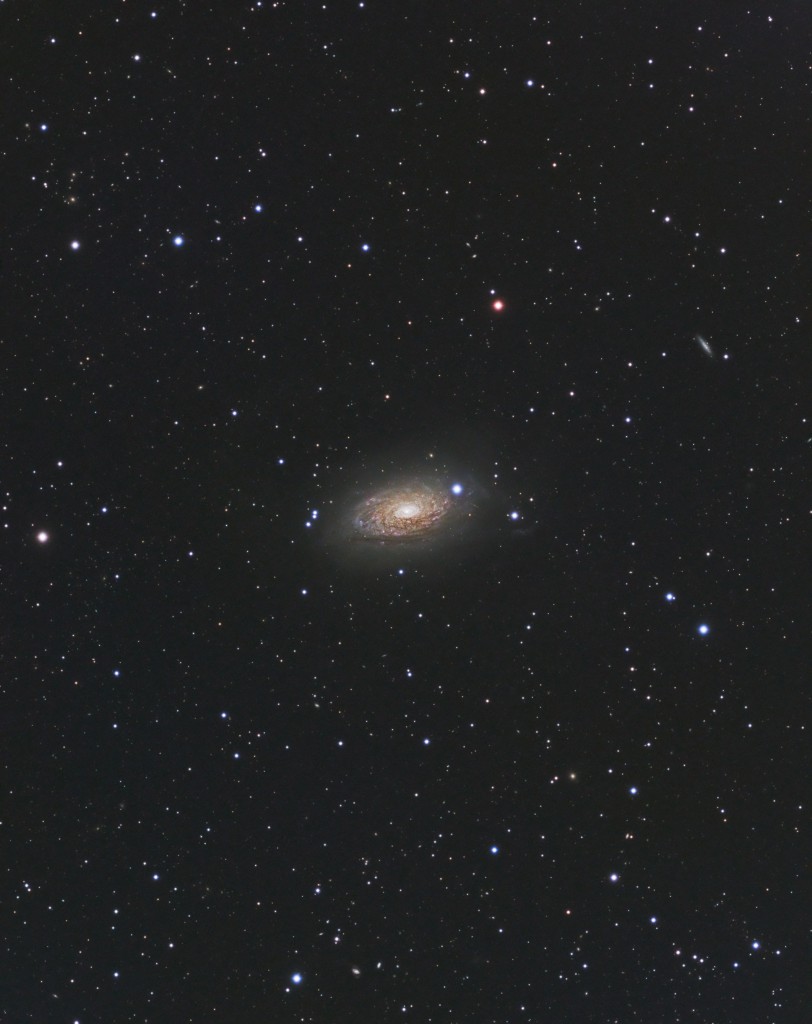 M63 - AP900GTO, Stellarvue SVQ-100, Apogee Ascent A694, Baader LRGB Filters, 4.5 Hour Total Exposure TIme.