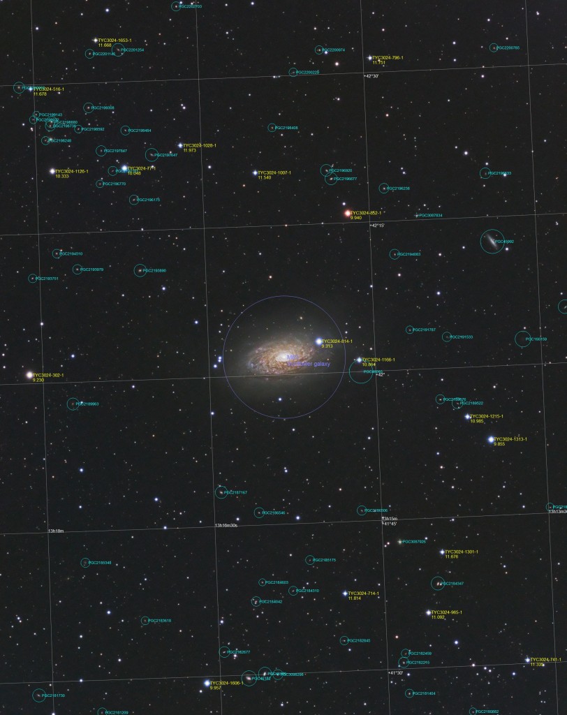 M63 - Annotated